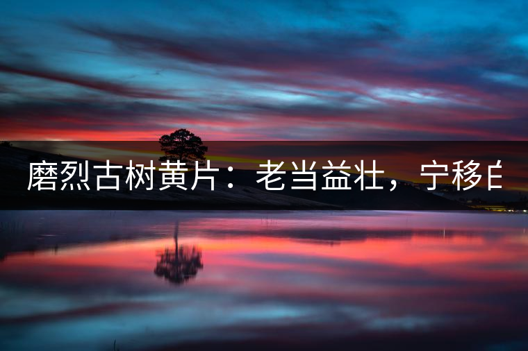 磨烈古樹黃片：老當益壯，寧移白首之心！