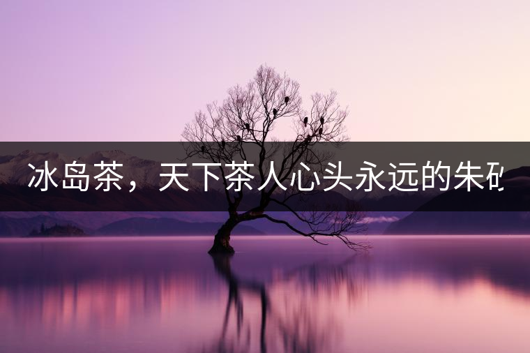 冰島茶，天下茶人心頭永遠(yuǎn)的朱砂痣！