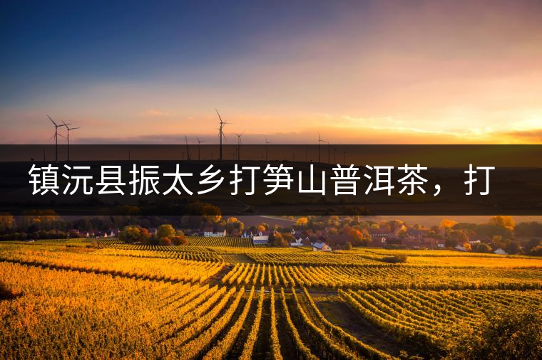 鎮(zhèn)沅縣振太鄉(xiāng)打筍山普洱茶，打筍山古樹茶口感特點(diǎn)