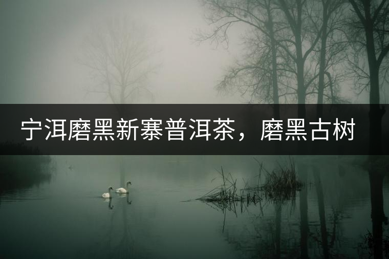 寧洱磨黑新寨普洱茶，磨黑古樹茶口感特點(diǎn)