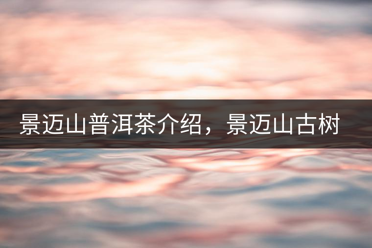 景邁山普洱茶介紹，景邁山古樹茶口感特點