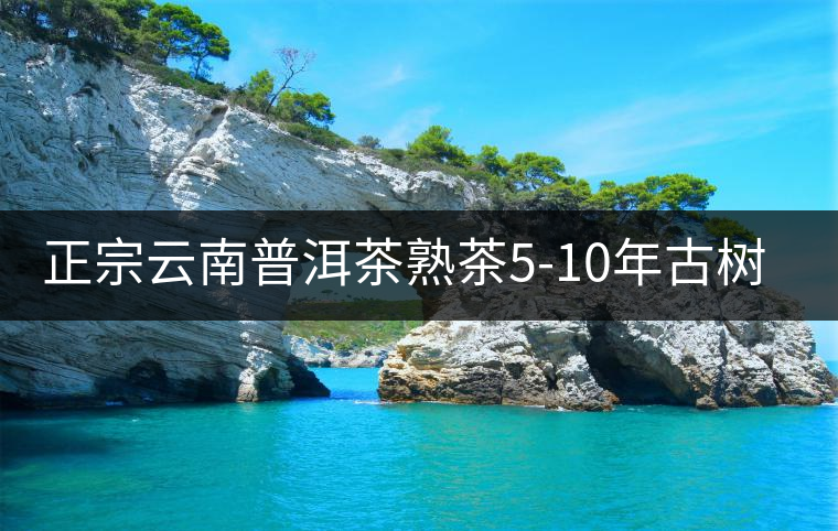 正宗云南普洱茶熟茶5-10年古樹(shù)茶餅濃香型陳年茶葉特級(jí)357g禮盒裝