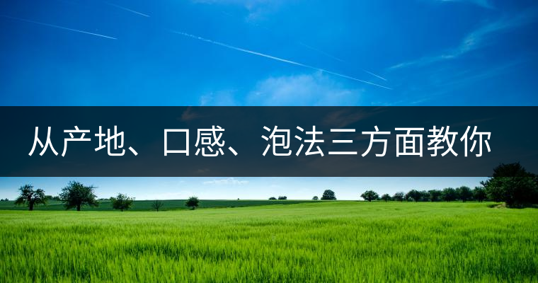 從產(chǎn)地、口感、泡法三方面教你吃透古域小戶賽！