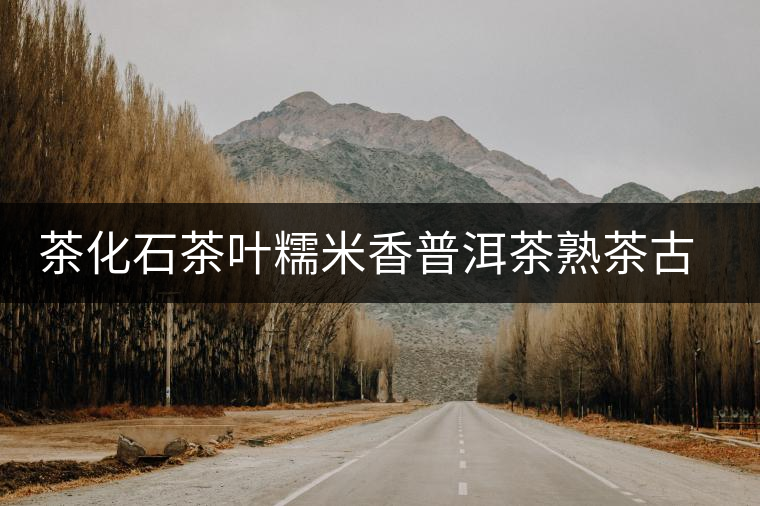茶化石茶葉糯米香普洱茶熟茶古樹老茶頭散茶云南碎銀子木冠罐裝 茶化石茶葉糯米香普洱茶熟茶古樹老茶頭散茶云南碎銀子木冠罐裝