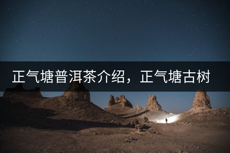 正氣塘普洱茶介紹，正氣塘古樹茶口感特點