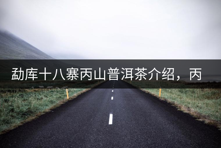 勐庫(kù)十八寨丙山普洱茶介紹，丙山古樹(shù)茶口感特點(diǎn)