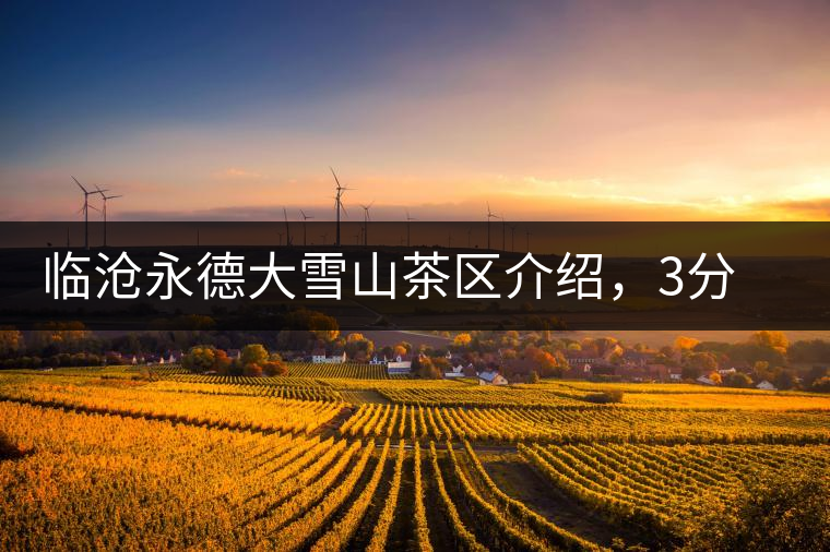 臨滄永德大雪山茶區(qū)介紹，3分鐘了解永德大雪山古樹茶