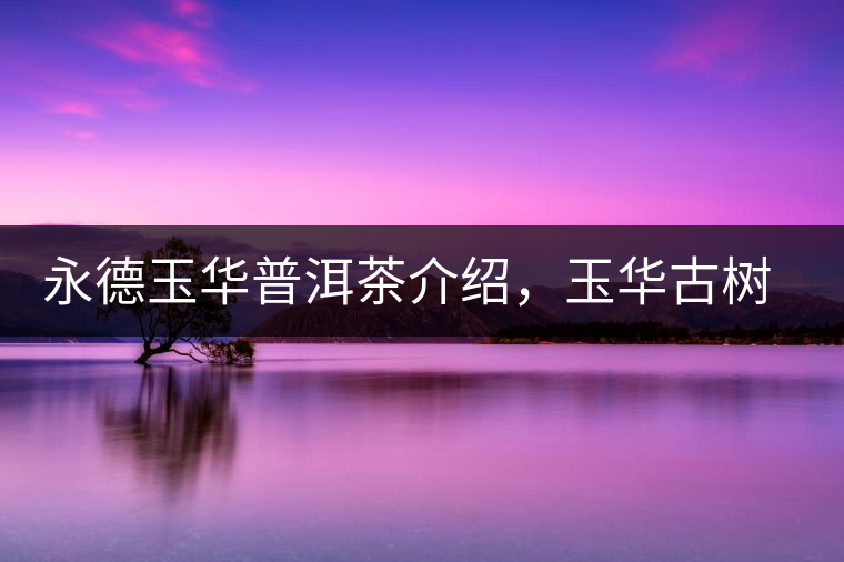 永德玉華普洱茶介紹，玉華古樹茶口感特點