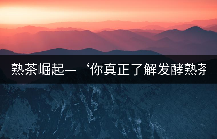 熟茶崛起—‘你真正了解發(fā)酵熟茶？’