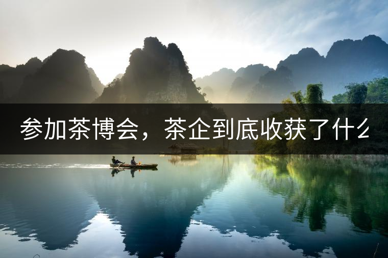 參加茶博會(huì)，茶企到底收獲了什么？