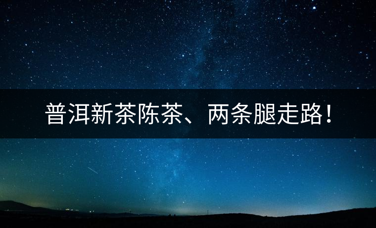 普洱新茶陳茶、兩條腿走路！