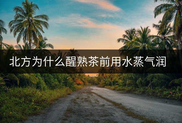 北方為什么醒熟茶前用水蒸氣潤一下？有何用處？