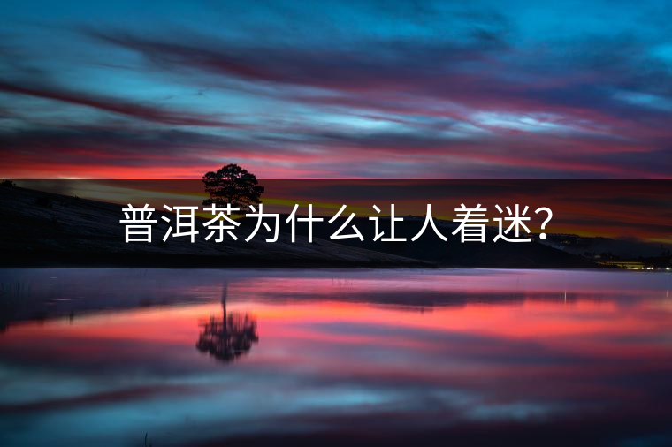 普洱茶為什么讓人著迷？