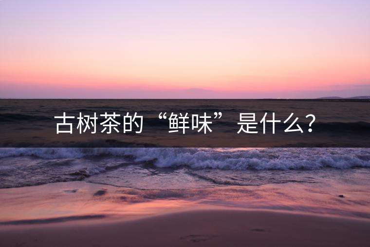 古樹茶的“鮮味”是什么？