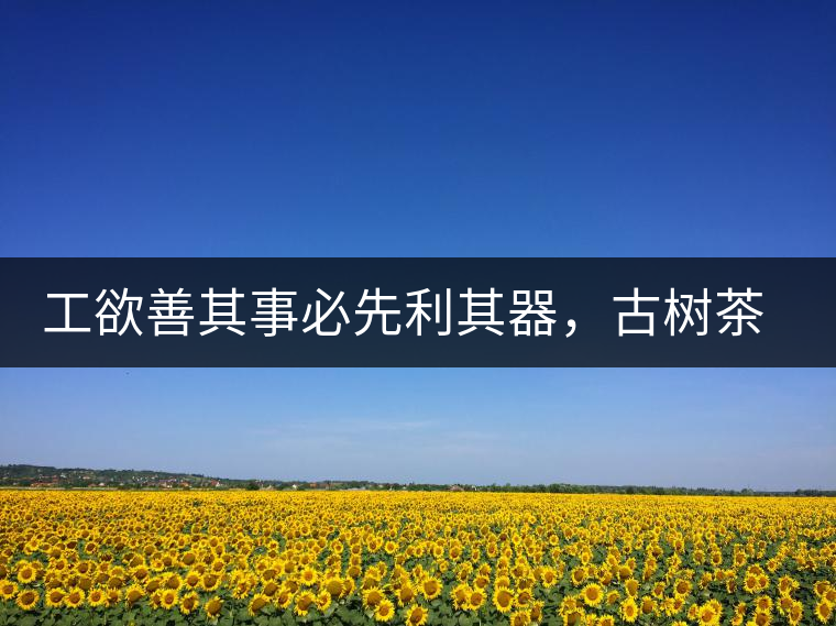 工欲善其事必先利其器，古樹茶用什么茶器最好？