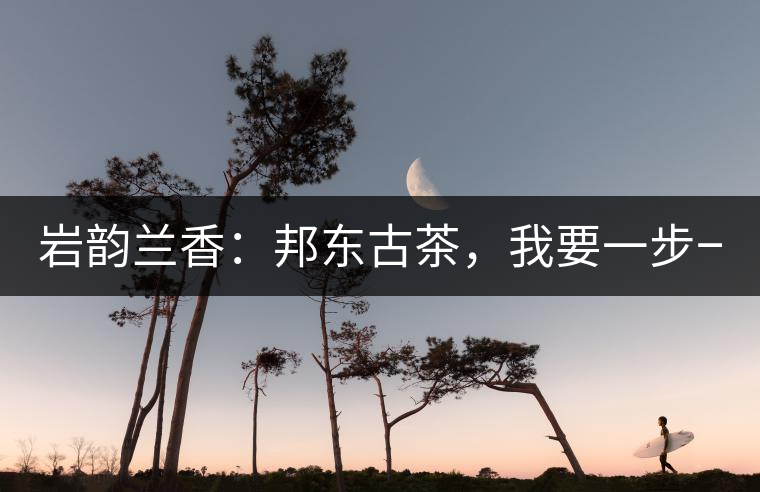 巖韻蘭香：邦東古茶，我要一步一步往上爬！