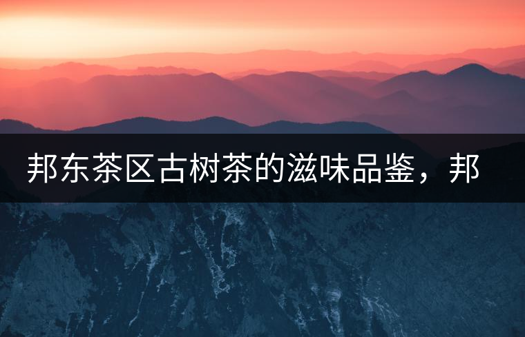 邦東茶區(qū)古樹茶的滋味品鑒，邦東普洱茶特點(diǎn)