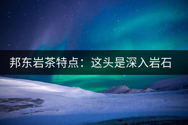 邦東巖茶特點(diǎn)：這頭是深入巖石的根，那頭是臨風(fēng)飄香的古韻