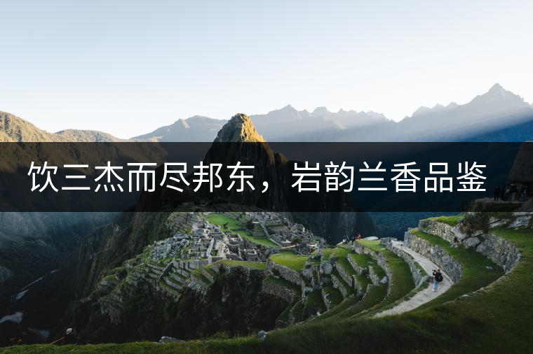 飲三杰而盡邦東，巖韻蘭香品鑒：生于山石上，韻味正當(dāng)