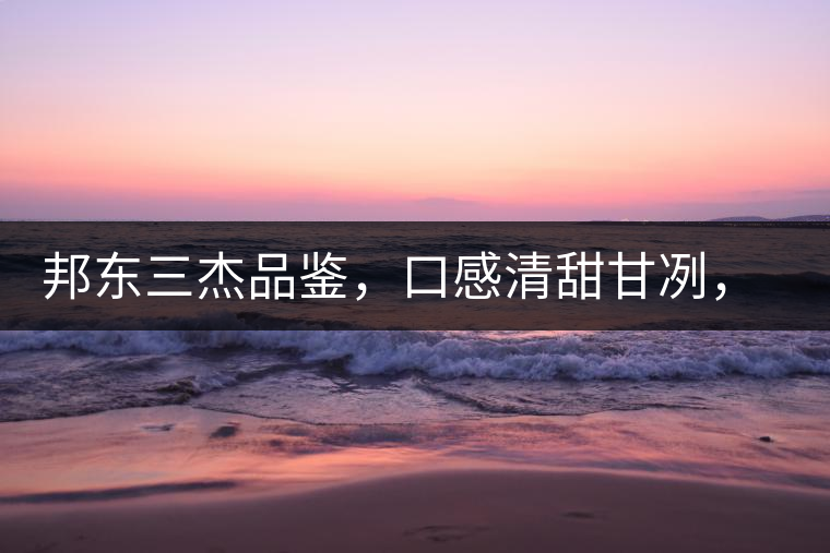 邦東三杰品鑒，口感清甜甘冽，香氣富于變化