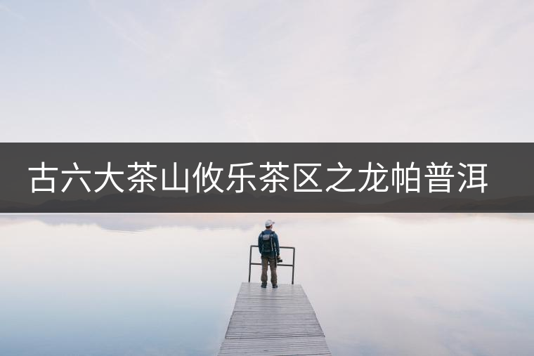 古六大茶山攸樂(lè)茶區(qū)之龍帕普洱茶 古六大茶山攸樂(lè)茶區(qū)之龍帕普洱茶