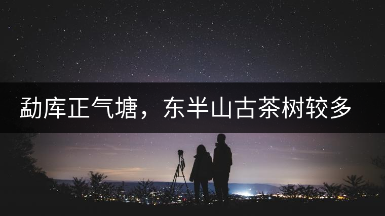 勐庫正氣塘，東半山古茶樹較多的寨子