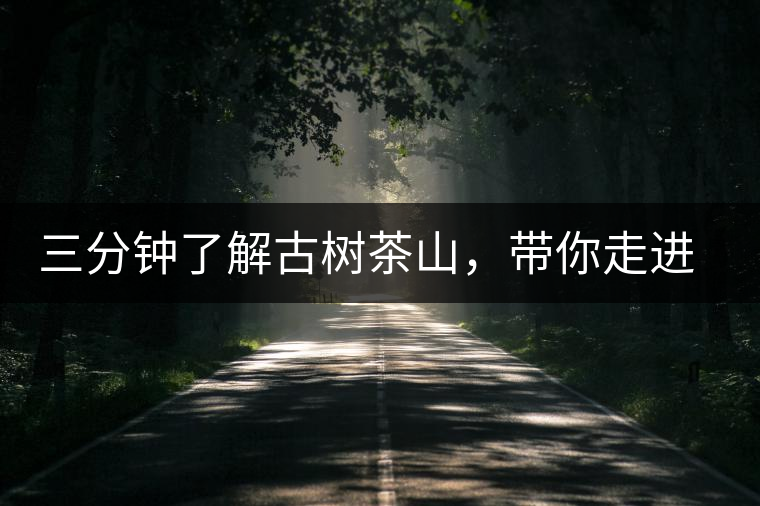 三分鐘了解古樹茶山，帶你走進(jìn)西蒙佛殿山