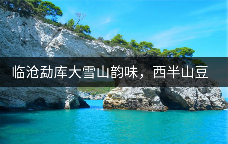 臨滄勐庫(kù)大雪山韻味，西半山豆腐寨古樹茶