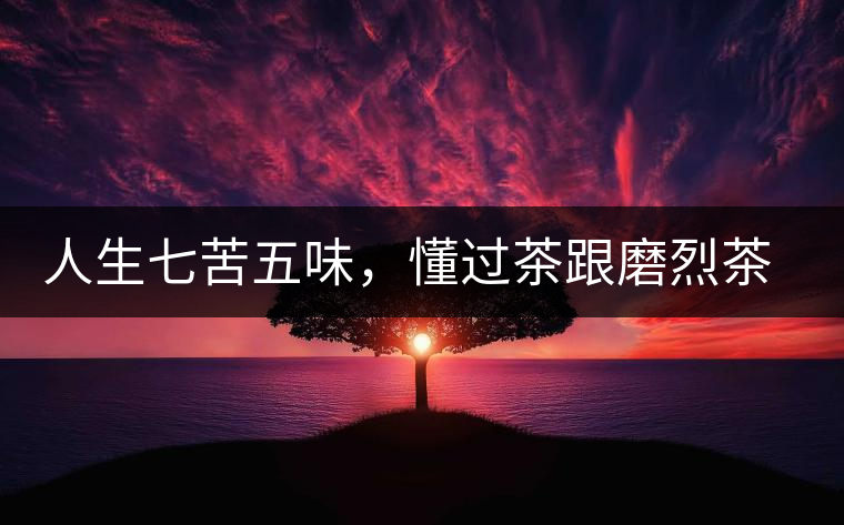 人生七苦五味，懂過茶跟磨烈茶區(qū)別介紹