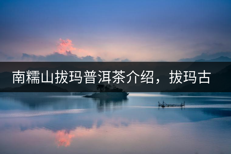 南糯山拔瑪普洱茶介紹，拔瑪古樹茶口感特點