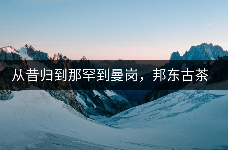 從昔歸到那罕到曼崗，邦東古茶藏著一條規(guī)律！