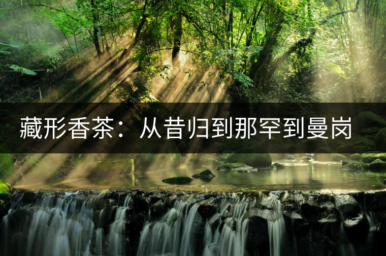 藏形香茶：從昔歸到那罕到曼崗，邦東古茶藏著一條規(guī)律！