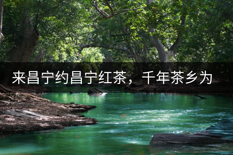 來昌寧約昌寧紅茶，千年茶鄉(xiāng)為您開啟生態(tài)之旅