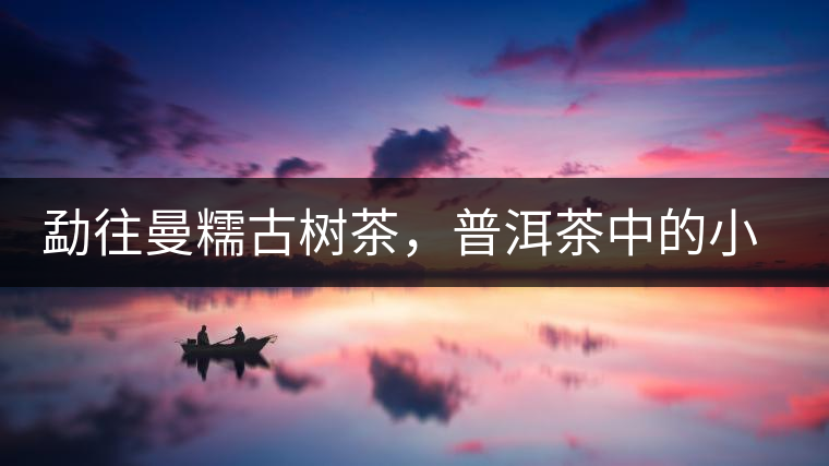 勐往曼糯古樹茶，普洱茶中的小班章