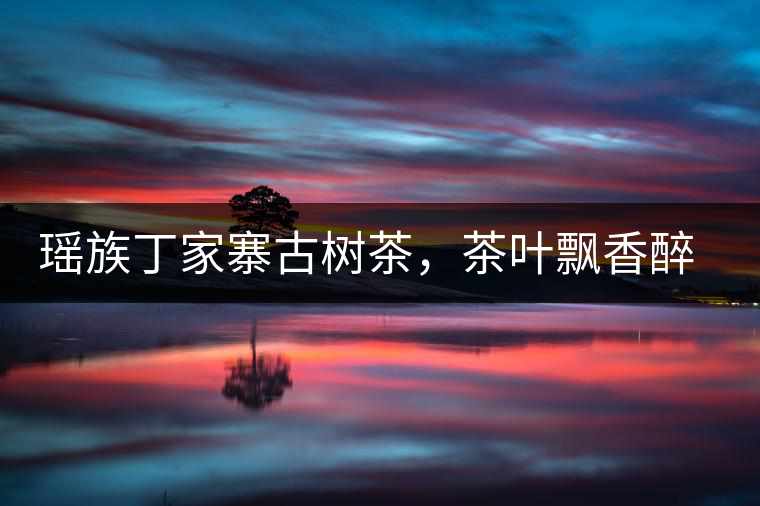 瑤族丁家寨古樹茶，茶葉飄香醉萬家
