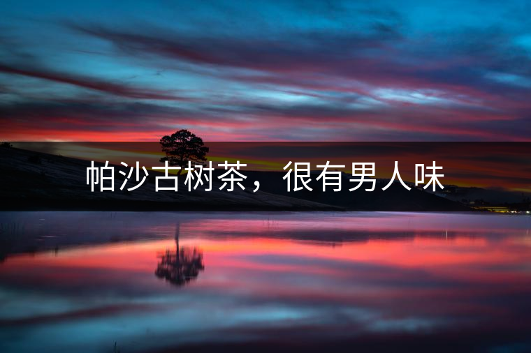 帕沙古樹茶，很有男人味