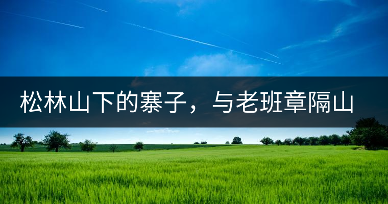 松林山下的寨子，與老班章隔山相望的廣別老寨