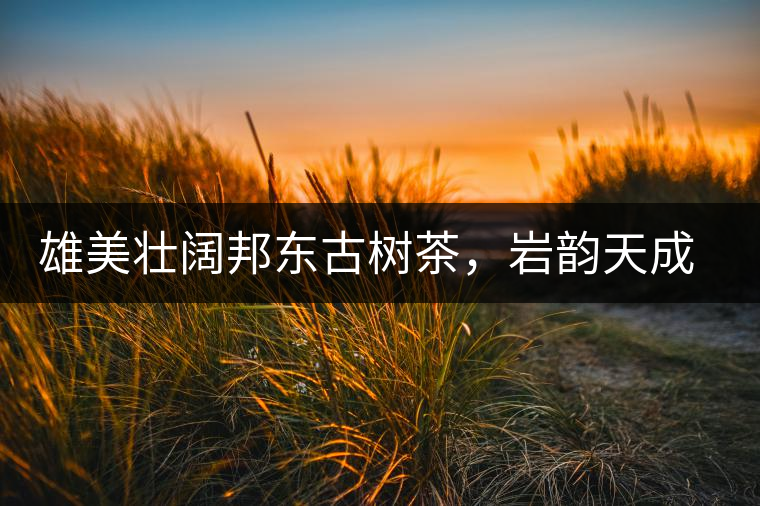 雄美壯闊邦東古樹茶，巖韻天成甘香鮮靈