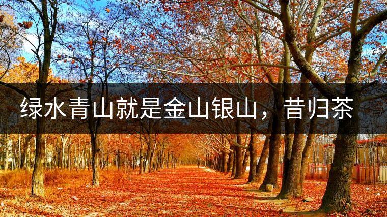 綠水青山就是金山銀山，昔歸茶農(nóng)唱著“茶歌”奔小康