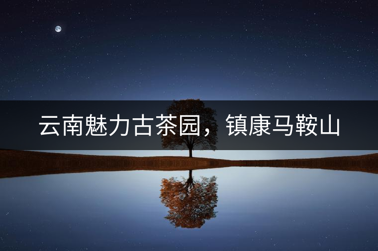 云南魅力古茶園，鎮(zhèn)康馬鞍山