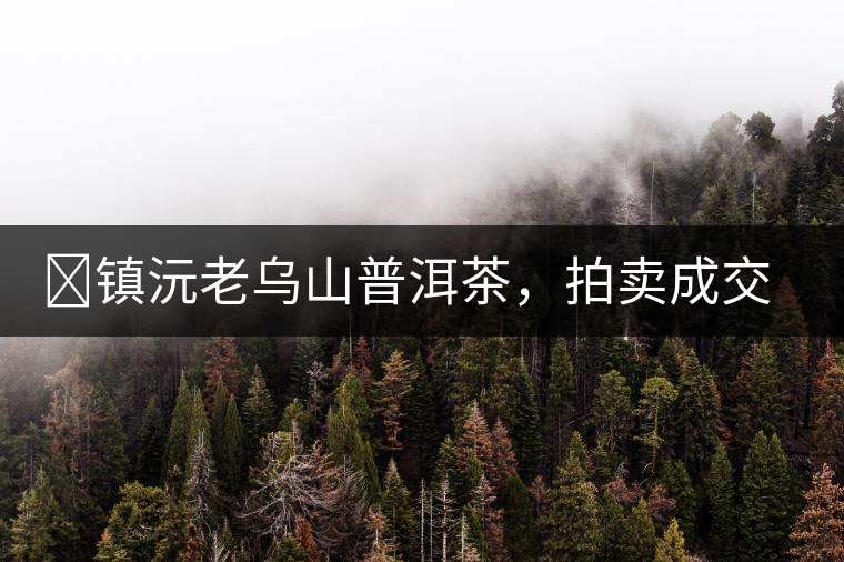 ?鎮(zhèn)沅老烏山普洱茶，拍賣成交價再創(chuàng)新高