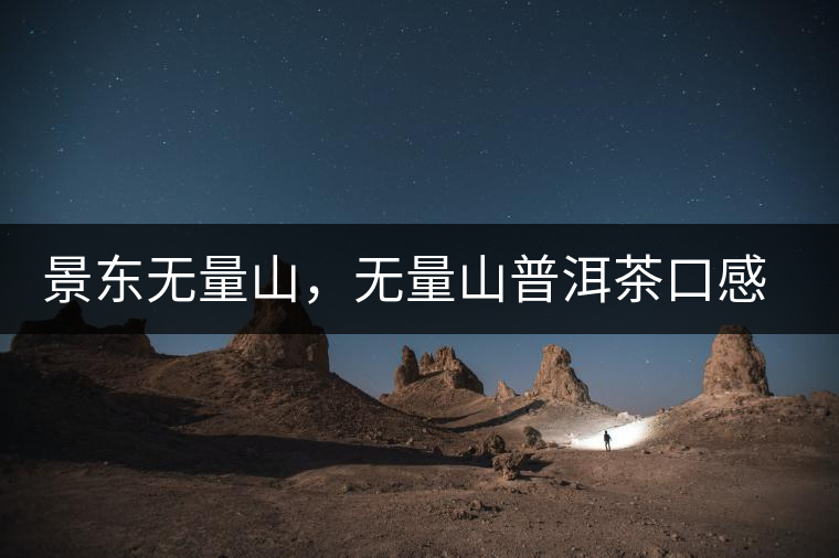 景東無量山，無量山普洱茶口感特點