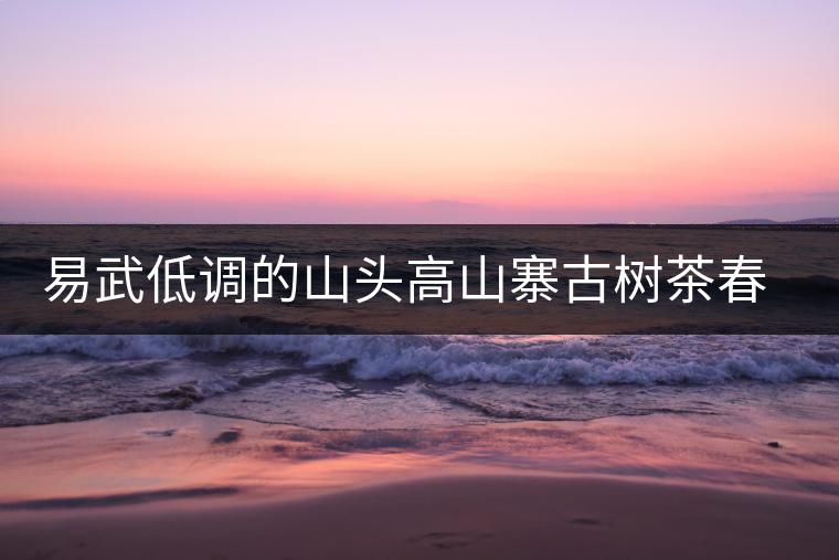 易武低調(diào)的山頭高山寨古樹(shù)茶春茶