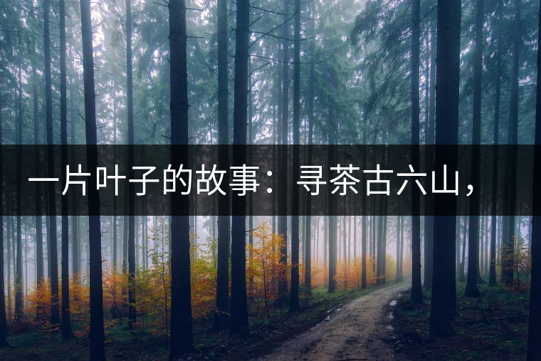 一片葉子的故事：尋茶古六山，倚邦最神秘