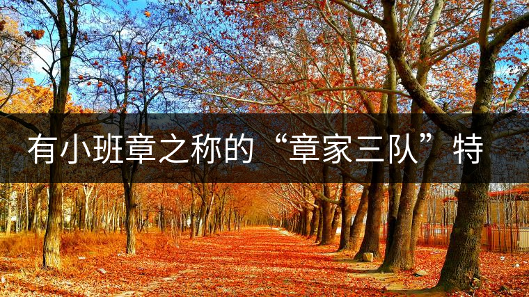 有小班章之稱的“章家三隊(duì)”特點(diǎn)介紹 有小班章之稱的“章家三隊(duì)”特點(diǎn)介紹