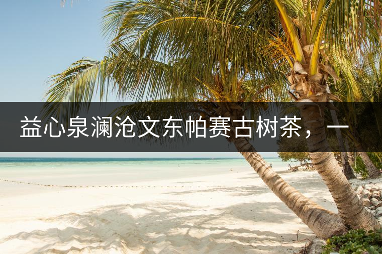 益心泉瀾滄文東帕賽古樹茶，一山茶兩岸香