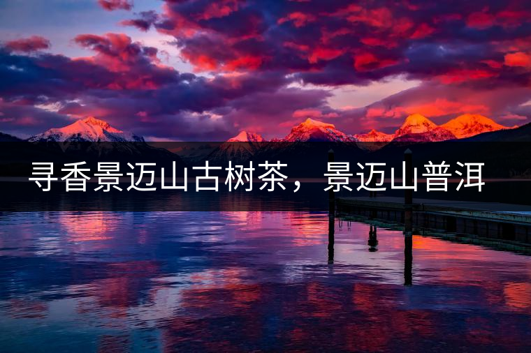 尋香景邁山古樹茶，景邁山普洱茶特點介紹