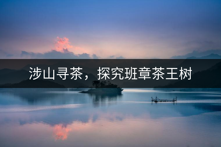 涉山尋茶，探究班章茶王樹(shù)