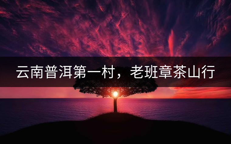 云南普洱第一村，老班章茶山行
