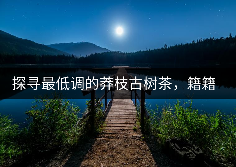 探尋最低調(diào)的莽枝古樹茶，籍籍無名出好茶